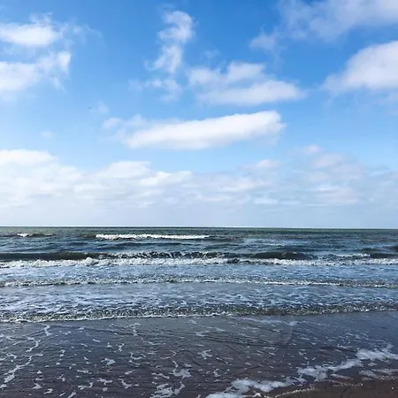 White Princess - Lehouck